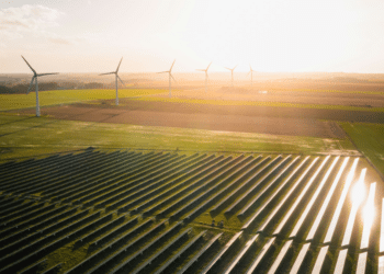 5 Solar Energy Myths Debunked by Expert