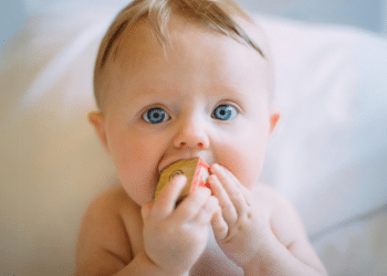 Advantage How HiPP Dutch Upholds Its Commitment to Quality & Safety for Babies (2)