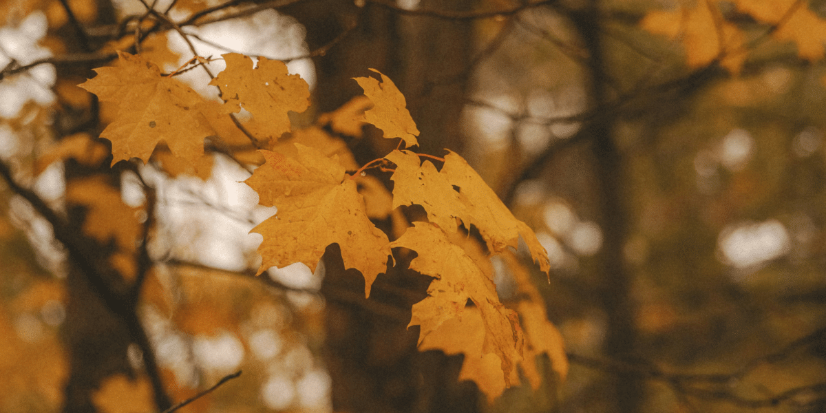 Crocheting is The Perfect Hobby to Keep You Busy This Fall