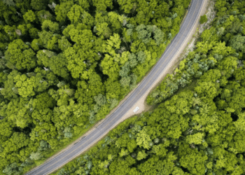 Eco-Friendly Camping Accessories for Sustainable Adventures