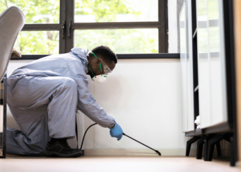 Emergency Pest Control: Termites, Bed Bugs, Rodents