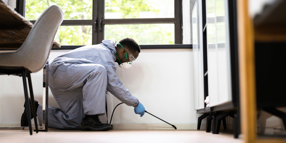 Emergency Pest Control: Termites, Bed Bugs, Rodents