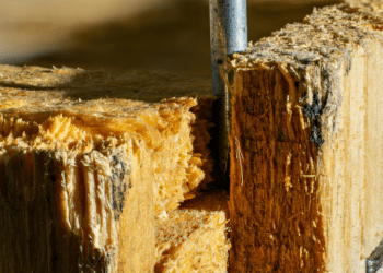 How New Material Handling Innovations Drive Industry Growth