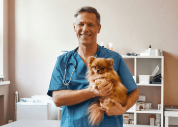 How Nutrient-Rich Treats Can Boost Your Dog's Health