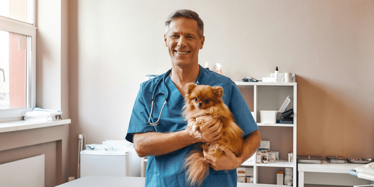 How Nutrient-Rich Treats Can Boost Your Dog's Health