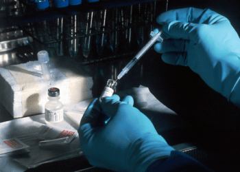 Importance of Drug Testing in the Transportation Industry