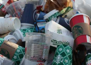 Junk Removal Services in Brooklyn A Comprehensive Guide