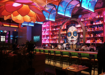 Meximodo- How Their Incredible Tequila List Earned a Guinness World Record