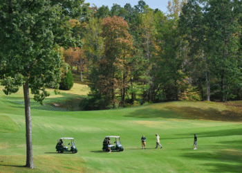 Street Legal Golf Carts: Guide to Legalizing Your Golf Cart