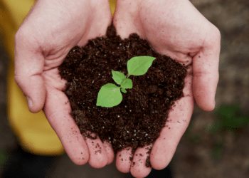 Sustainable Building: Paving the Way for a Greener Future