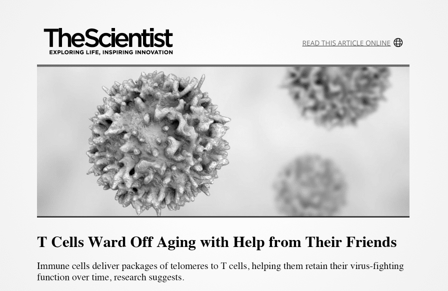 THEINFINUM’s Prof. Alessio Lanna Ph.D. Skincare's Revolution (3)