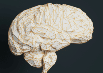 A No-Nonsense Guide to Getting Your Life Back