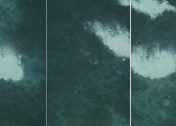 Acclaimed Artist Hongtao Sun to Showcase Innovative Color Ink Paintings at Penn Museum Exhibition