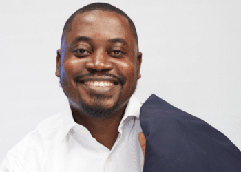 Ayodeji Adegbite: A Skilled Financial Analyst and Data-Driven Innovator