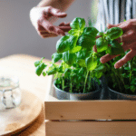 Creative Ways to Use Fresh Herbs for Flavorful Cooking