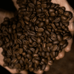 From Guatemala to Your Cup The Unique Process Behind BHB's Flagship Coffee (2)