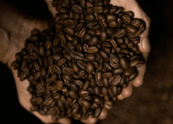 From Guatemala to Your Cup The Unique Process Behind BHB's Flagship Coffee (2)