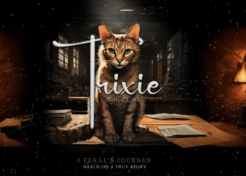 How Resilience Teaches Us Life’s Most Important Lesson