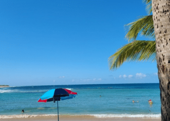JJ Cigar Lounge: A Weekend Getaway to Isabela, Puerto Rico