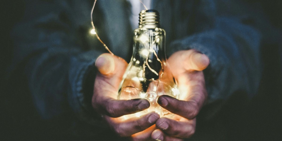 Leadership in Identity Protection and Revenue Generation