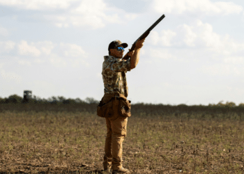 Mastery of Black Bear Hunting Preparation for Success in Garia Bay