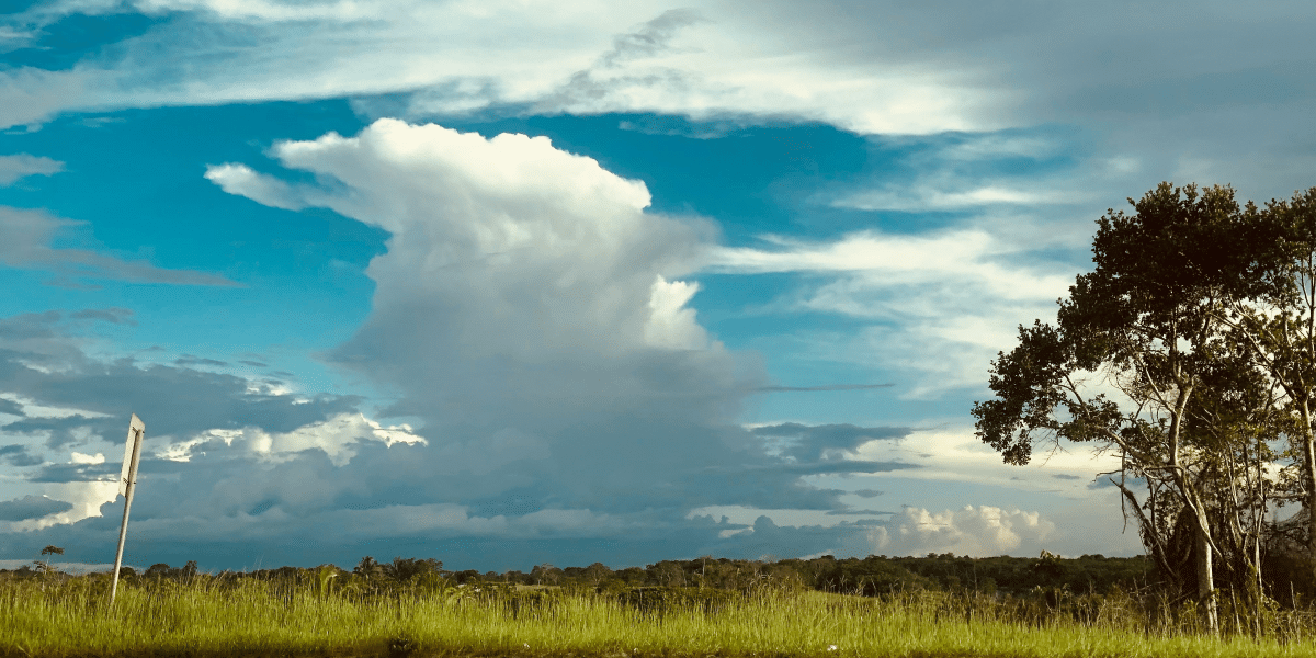 Shimronde Providence Offers Transformative Wellness Projects and Consulting Services Across Guyana