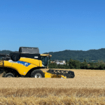 The Future of Crop Nutrition with Precision Agriculture