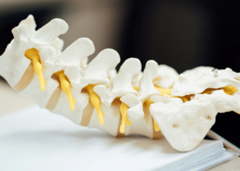 The Role of Hamilton Spinal Cord Injury Lawyers