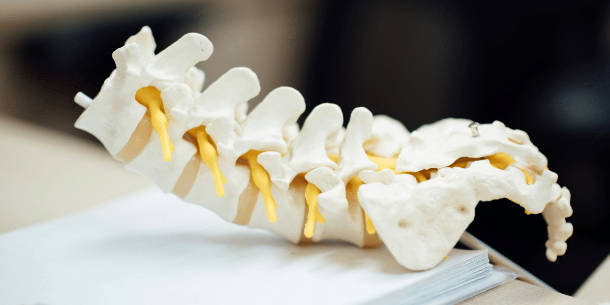 The Role of Hamilton Spinal Cord Injury Lawyers