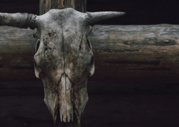 Vento & Ziggy Capture Western Spirit in 'Spaghetti Western'