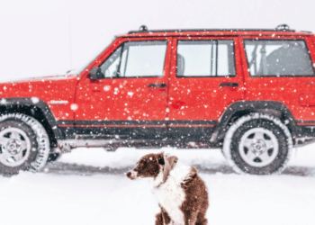 Why Jeeps Are Perfect for Family Road Trips