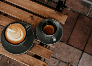 Arabica vs Robusta Coffee Key Differences Explained
