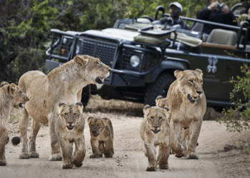 Around Africa in 65 days with Ker & Downey® Africa