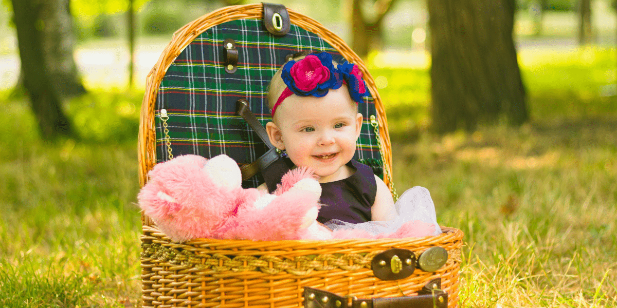 Choosing the Baby Baskets for Girls