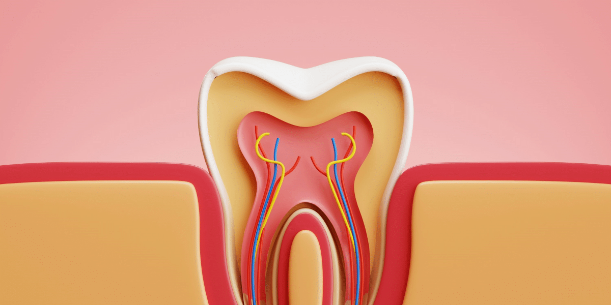 Diet and Nutrition with Dentures Foods to Avoid, Recommended Foods, and Tips for Chewing