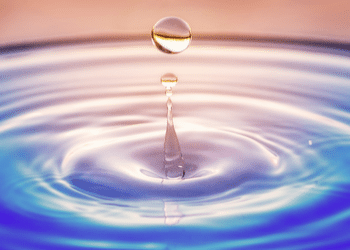 Discover Midwest Tropical's Custom Water Features Discover The Versatility Of Our Products