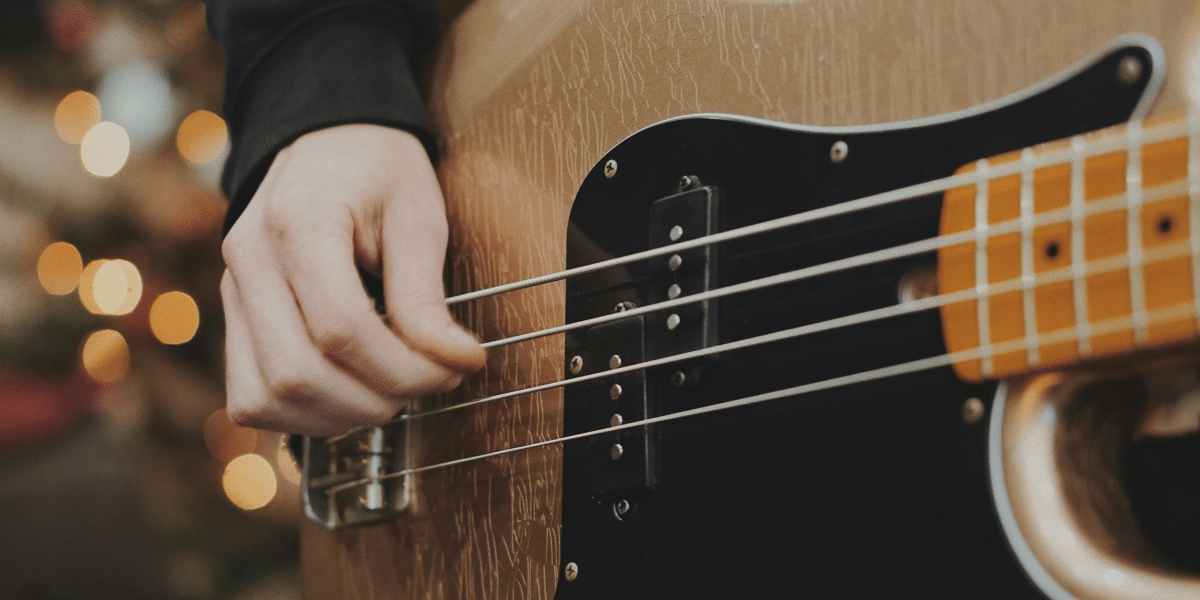 Discovering the Early Bird Expo A Celebration of Creativity and Innovation