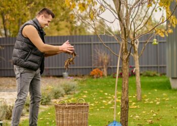 Eco-Friendly Cleaning Tips for a Greener Environment