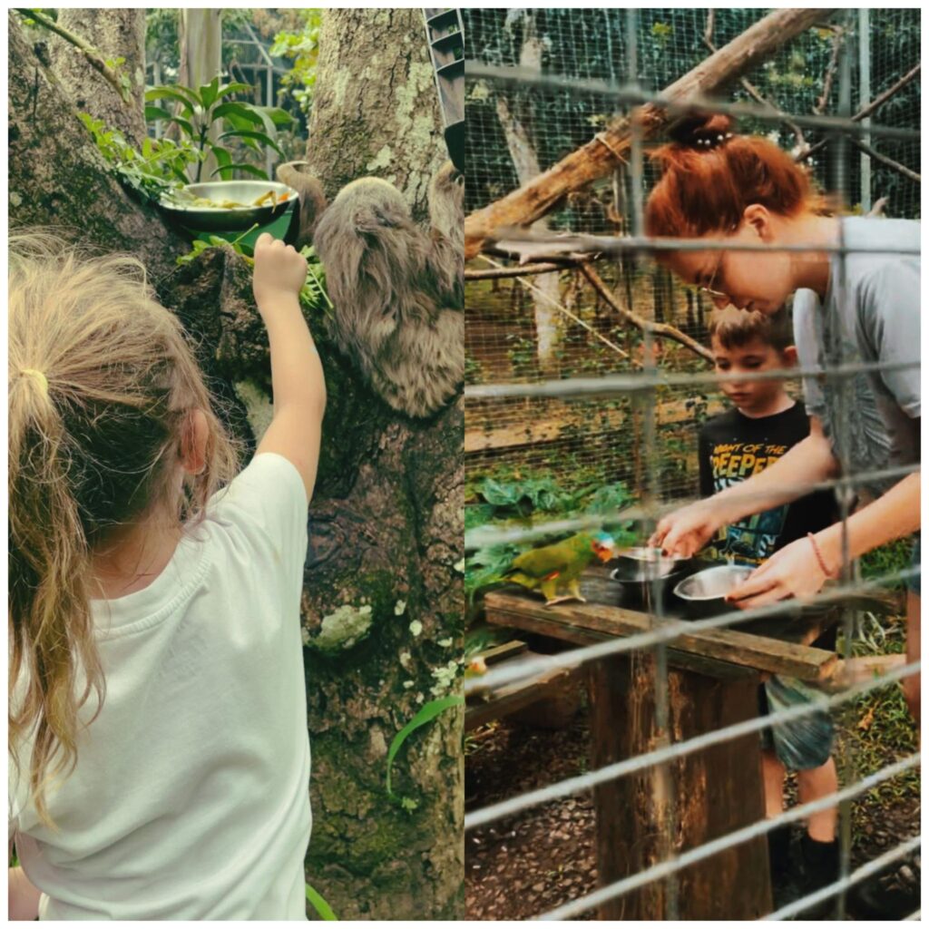 Explore the World With GoEco Discover Voluntourism