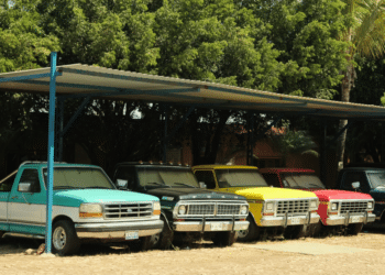 Ford Trucks to Consider in 2024