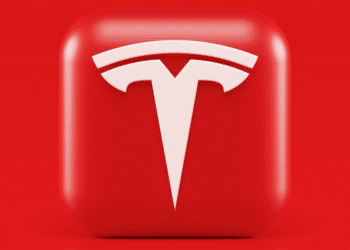 Infographic Video Animation Choosing the Right Services