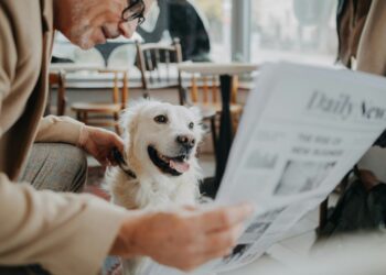 Insights on Starting and Growing an Editorial Business