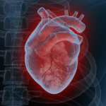 Nurturing Cardiovascular Health: A Lifelong Commitment to a Strong Heart