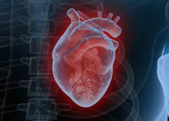 Nurturing Cardiovascular Health: A Lifelong Commitment to a Strong Heart