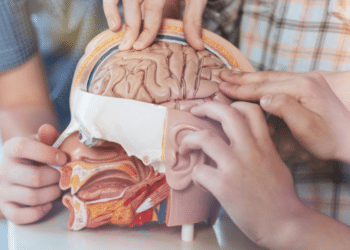 Regenerative Neurotherapy A New Hope for Neuropathy Relief