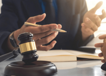 The Essential Guide to Criminal Lawyers Roles, Skills, and Specializations