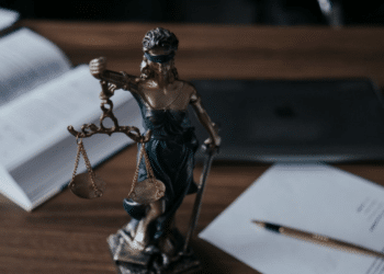 Understanding the Value and Role of a Will Lawyer in Estate Planning