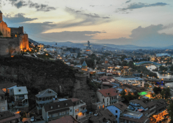 What is the Georgia Association of the Deaf? Detail Overview