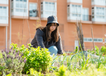 Change Jagpaul Singh, Formerly of the Carlyle Group