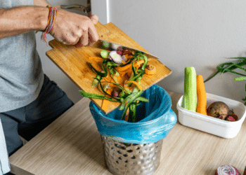 Climate Change Policies New York’s Commitment